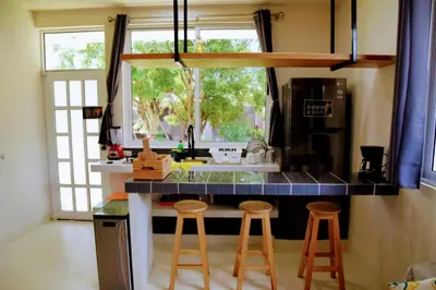 Una cocina o zona de cocina en Mangal Suites