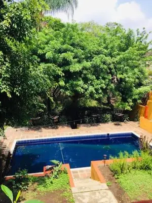 Piscina en o cerca de Bungalito en Cuernavaca