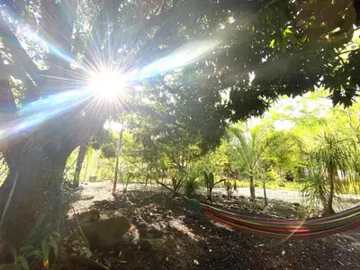 Jardín al aire libre en AQUA CEIBA Hotel Spa Aventuras y Eventos