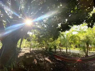Jardín al aire libre en AQUA CEIBA Hotel Spa Aventuras y Eventos