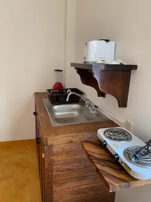 Una cocina o zona de cocina en Casa Suites Minizoo