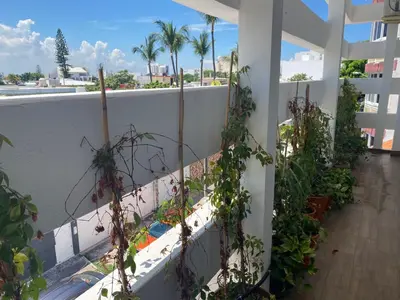Un balcón o terraza de Modernos departamentos tipo LOFT a dos calles del estadio