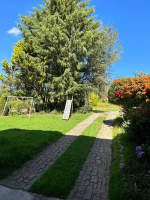 Jardín al aire libre en Carpe Diem