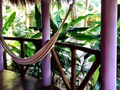Jardín al aire libre en One Love Hostal Puerto Escondido