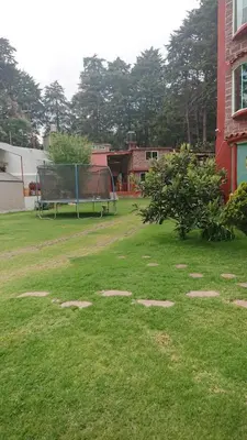 Jardín al aire libre en grupos chicos 2