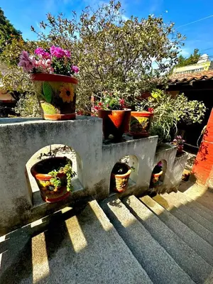 Jardín al aire libre en Vive en un rancho