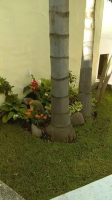 Plano de Villa Colibri Casa Vacacional alberca asador jardín 15 huéspedes