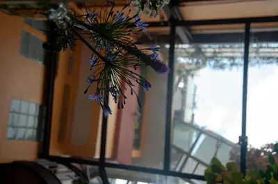 Un balcón o terraza de Chalet del Carmen, Coyoacán