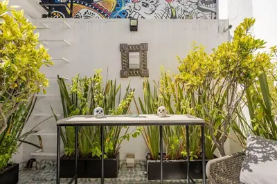 Jardín al aire libre en LOVELY LOFT COYOACAN (CHABELA)