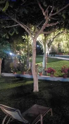 Jardín al aire libre en Casa Quinta Joselito