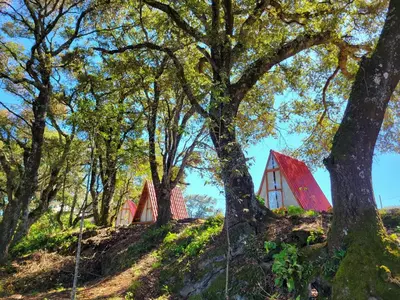 Paisaje cerca de este camping