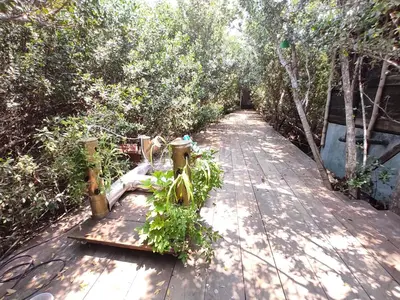 Jardín al aire libre en Posada Corazon Mazunte
