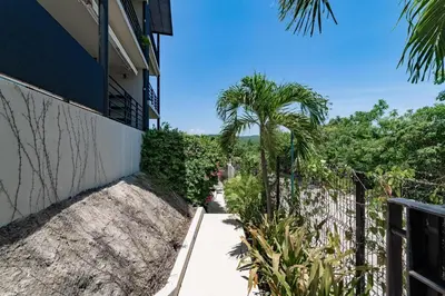 Jardín al aire libre en 3017 - Agaves 104