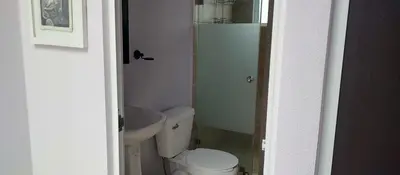 Un baño de Casa de Rosas