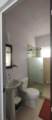 Un baño de Casa de Rosas