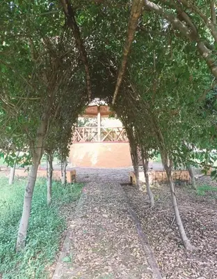 Jardín al aire libre en Hotel NUDISTA - Luz de Luna NUDE