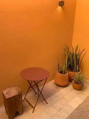 Plano de Macondo Arte Oaxaca