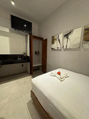 Cama o camas de una habitación en Aurora Hotel Boutique