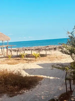 Paisaje cerca de este hotel