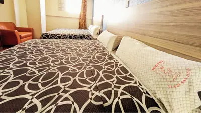 Cama o camas de una habitación en Hotel Plaza San Juan