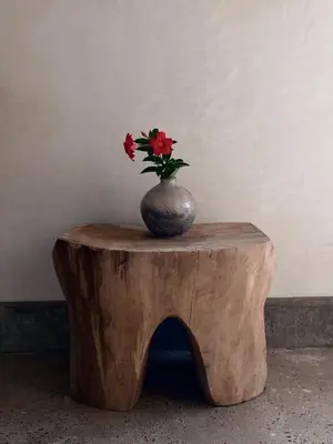Plano de Ukiyo San Agustinillo