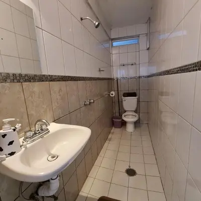 Un baño de Depa Púrpura Caracol