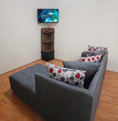 Una televisión o centro de entretenimiento en Departamento Foro Sol, Autódromo y Palacio de los deportes