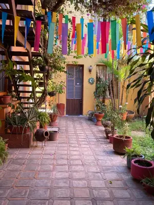 Jardín al aire libre en Cómoda y amplia Habitación en Jalatlaco