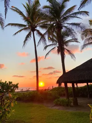 Amanecer o atardecer desde la casa o chalet o alrededores