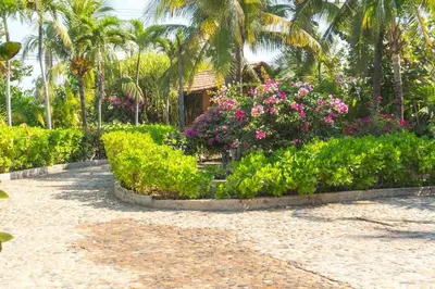 Jardín al aire libre en Casa de Playa Barra Vieja Acapulco