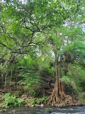Paisaje cerca de este camping