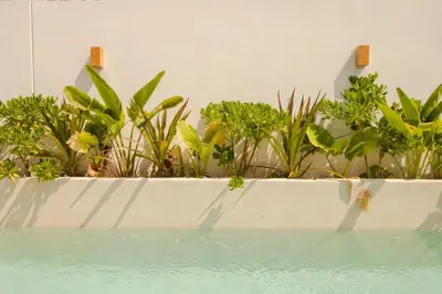 Jardín al aire libre en CASA RAFFAELLA Modern apartments with AC Pool Starlink