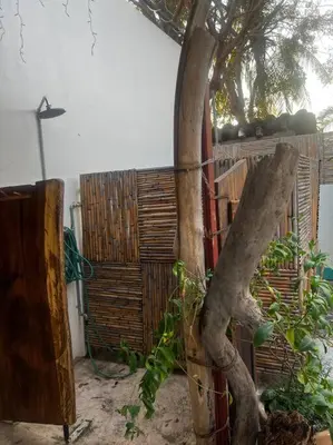Jardín al aire libre en Casa de 3 recámaras en Bacocho