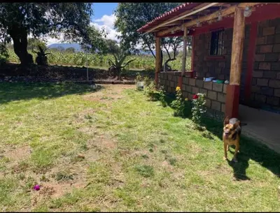 Jardín al aire libre en “Casa de campo Miyana”