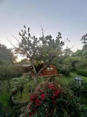 Jardín al aire libre en Casa Nora Malinalco huerto con alberca climatizada