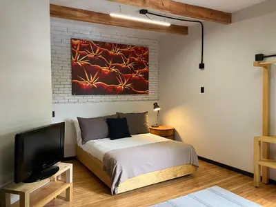Cama o camas de una habitación en Coyoacan historico, museo Frida.