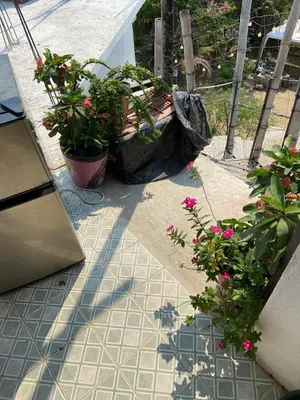 Jardín al aire libre en Habitación de Manuel.. ac wifi óptico privada