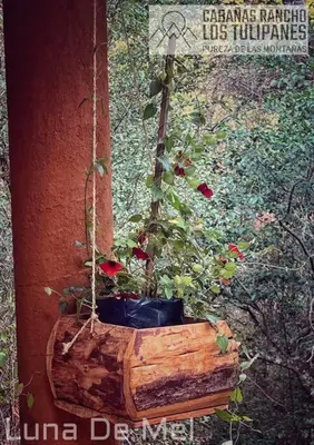 Jardín al aire libre en Cabanas Rancho Los Tulipanes - dream of peace