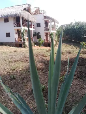 Jardín al aire libre en Cabañas Mizontle