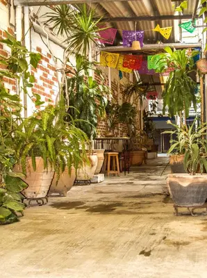 Plano de The Roots Flat Oaxaca Centro