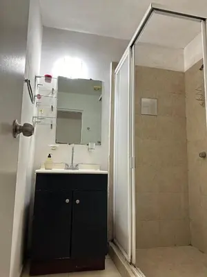 Un baño de Departamento en Fraccionamiento