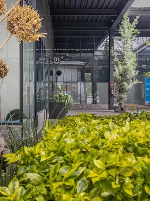 Jardín al aire libre en Stylish Quiet Studio, Smart TV, Six Flags 1k