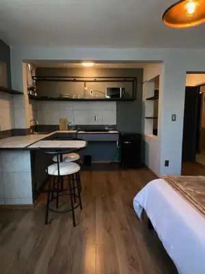 Una cocina o zona de cocina en Bright Studio Apartment Casa Icacos Apt 3