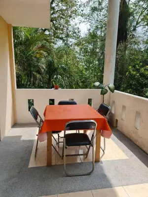 Plano de Jardín de los Anturios, Xico