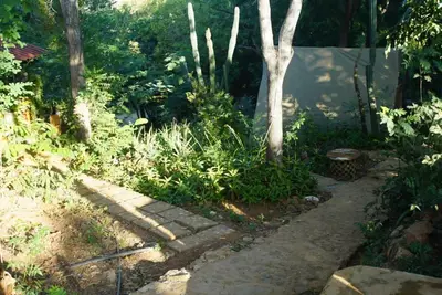 Jardín al aire libre en Balamjuyuc Cabañas y Ecohostel