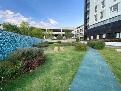 Jardín al aire libre en Sonata para 8 y pet friendly
