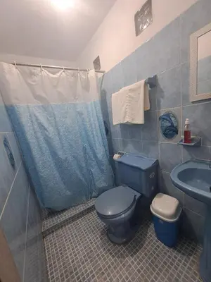 Un baño de Hotel Las Palomitas
