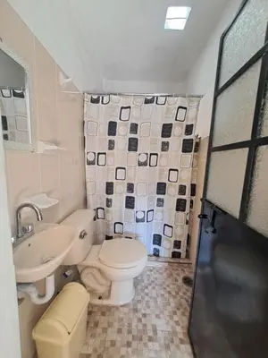Un baño de Hotel Las Palomitas