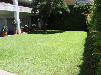 Jardín al aire libre en Hotel de Cuautla