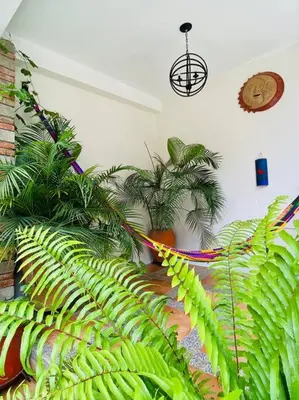 Jardín al aire libre en Alojamiento entero Casa Tozcano